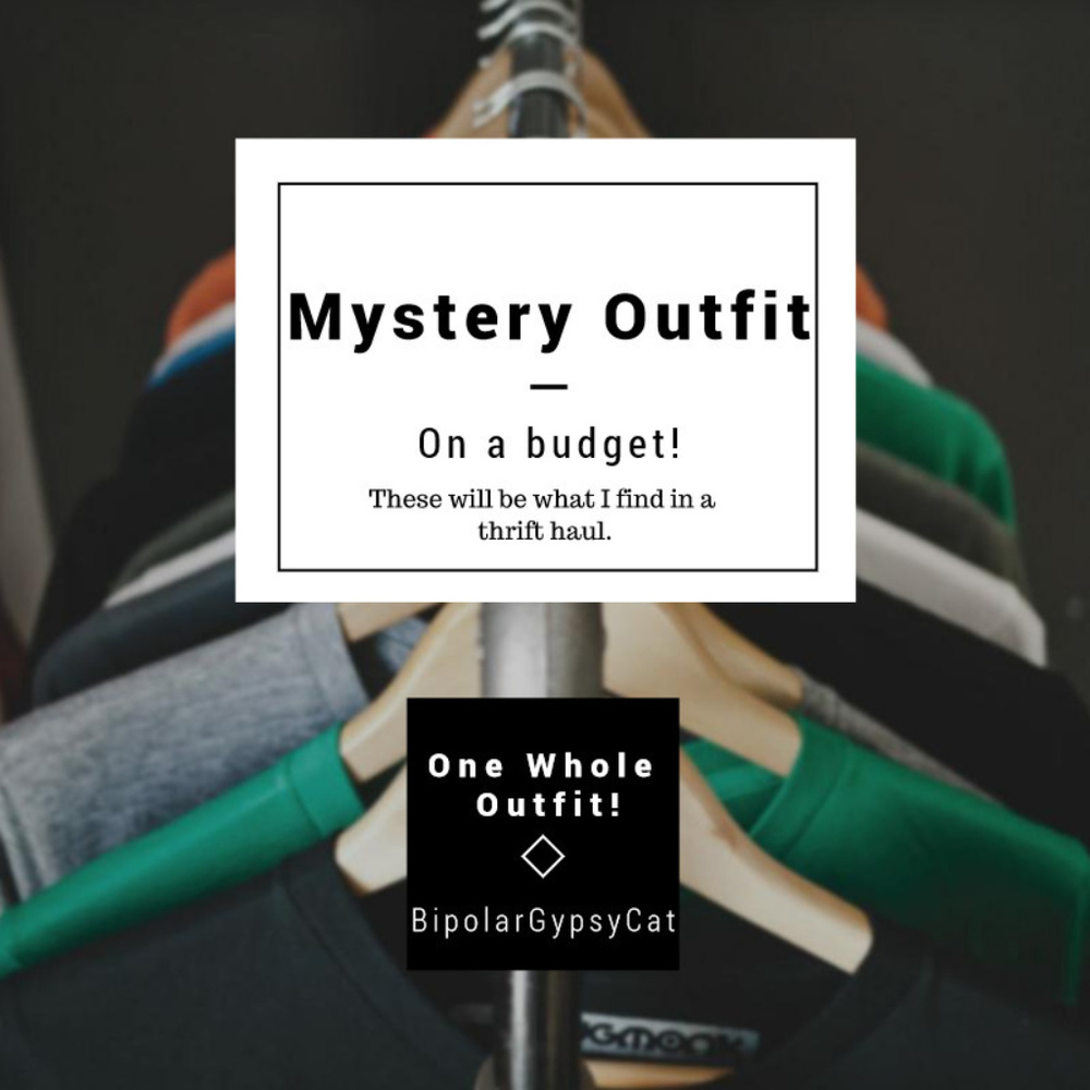 One Mystery Box Outfit Budget Friendly